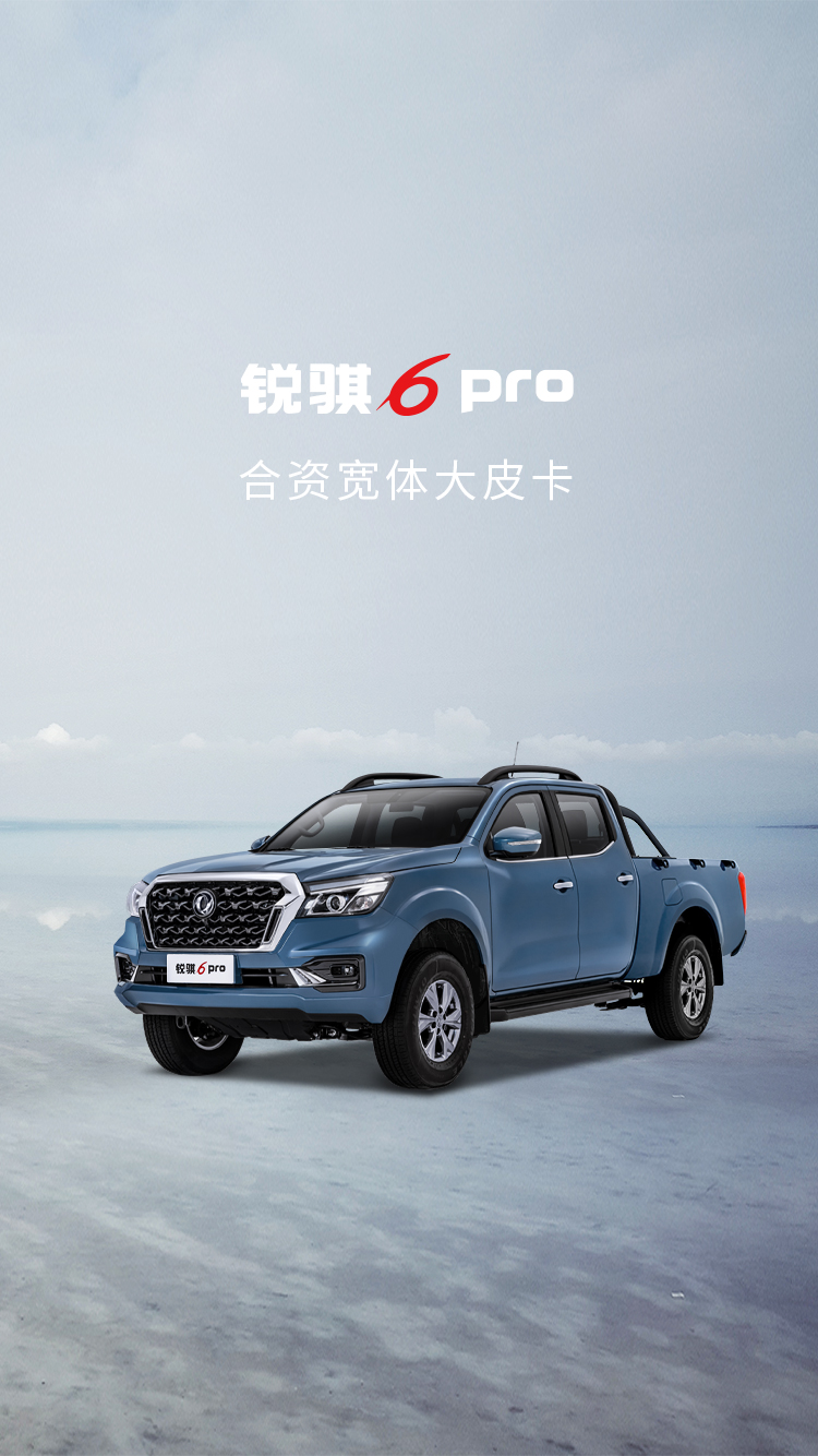 锐骐6 pro