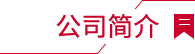 公司简介
