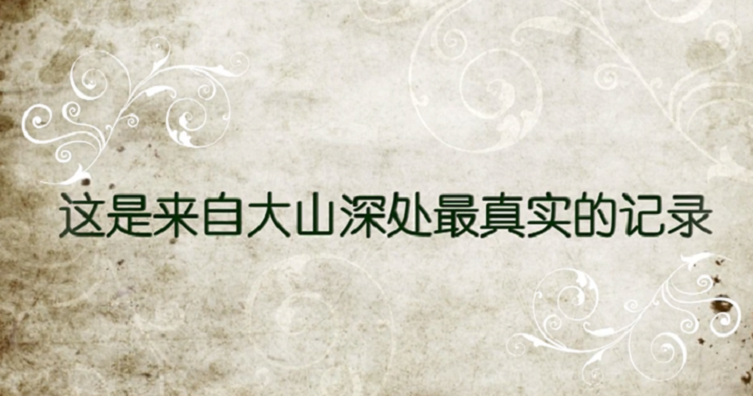 锐骐皮卡-刮风寨