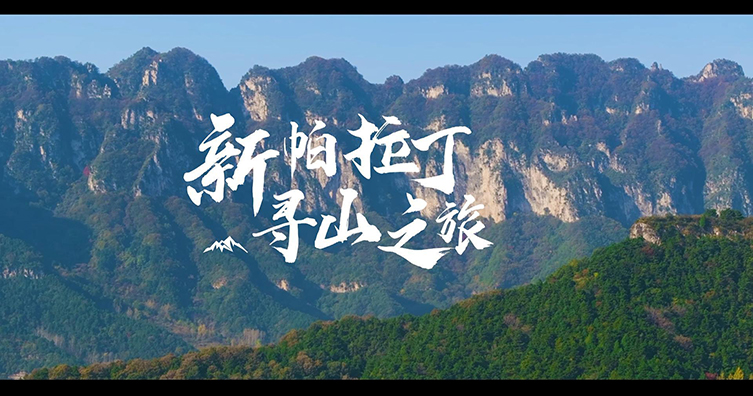 帕拉丁媒体车主证言