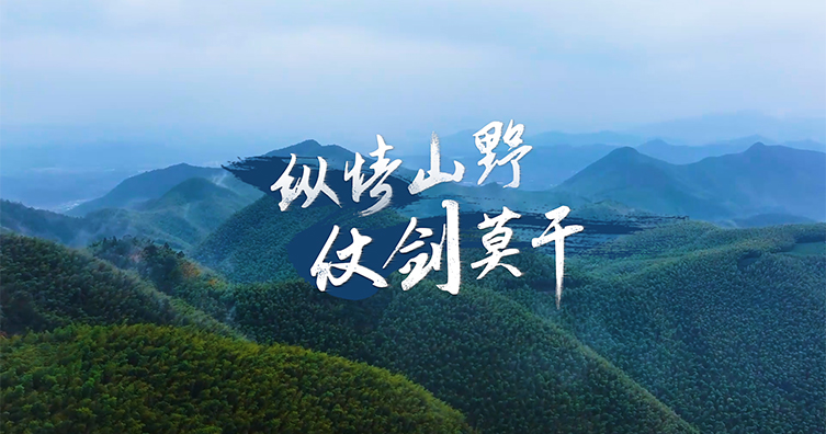 莫干山跑山赛（二）