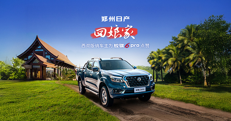西双版纳车主为锐骐6 pro点赞