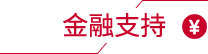 金融支持