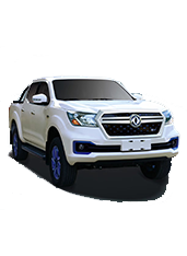 锐骐6EV