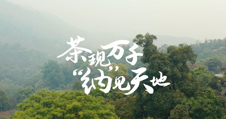 云南纳瓦拉车主故事