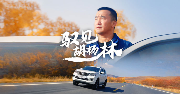 新疆帕拉丁车主故事（四）