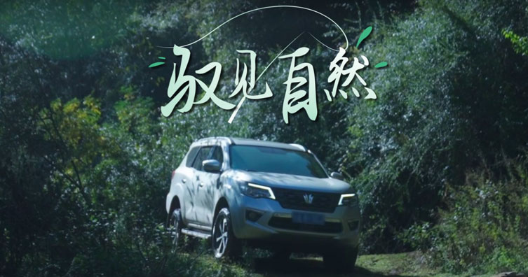 云南帕拉丁车主故事