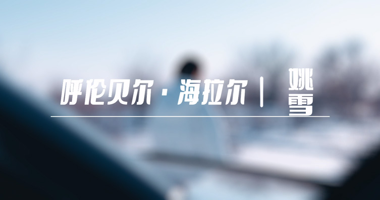 内蒙古帕拉丁车主故事（三）