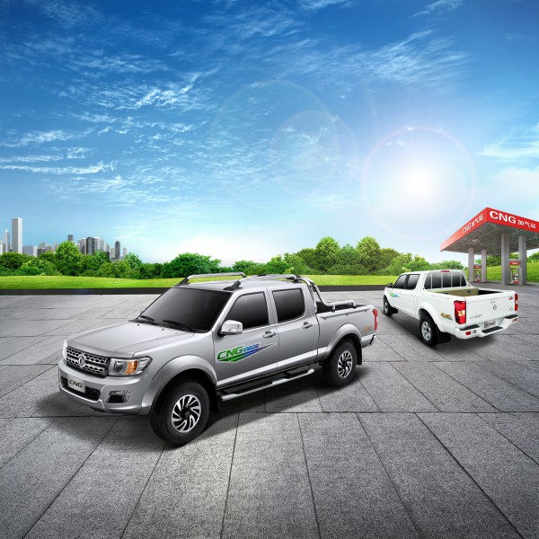 两用燃料车.jpg